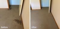 Carpet Cleaning Melbourne image 1